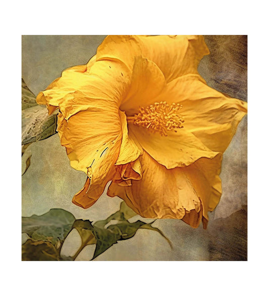 A Celebration of Summer: A Vibrant Yellow Flower Takes Center Stage on Canvas